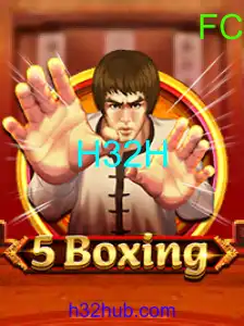 5Boxing